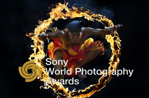 Они значатся в списках. Опубликованы имена номинантов фотоконкурса Sony World Photography Awards