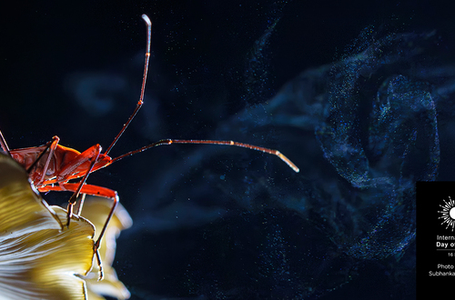 Фотоконкурс SPIE International Day of Light 2025