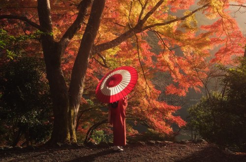 Путешествие в Японию: в парке «МУЗЕОН» пройдёт бесплатная фотовыставка Даниила Коржонова