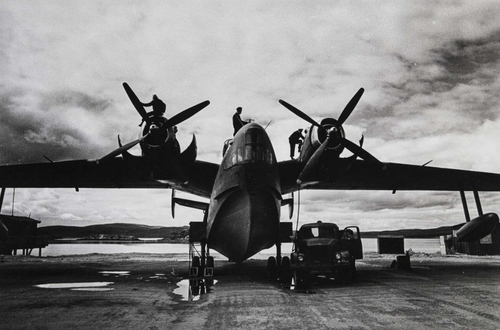 Крылья России