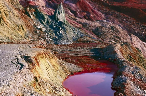 Открытая онлайн-лекция «Фотография в экологической перспективе»