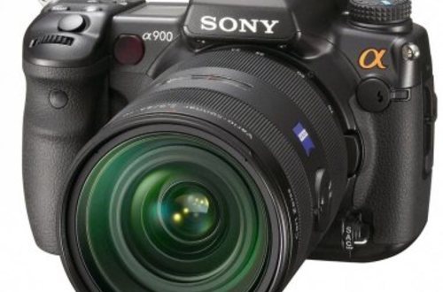 Тест зеркального фотоаппарата Sony Alpha 900: как группа  Альфа снимала в заповеднике