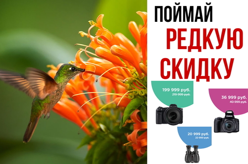 «Поймай редкую скидку!» - специальные цены на технику Canon