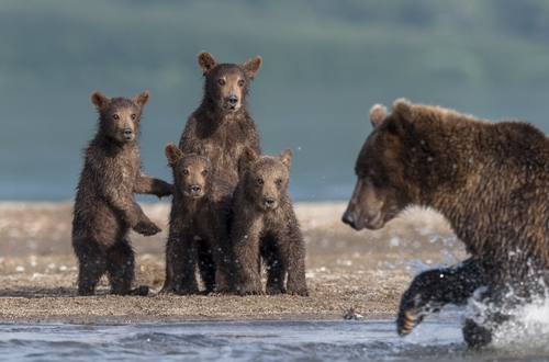 Я I В СЕРДЦЕ ИЗОБРАЖЕНИЯ 2015