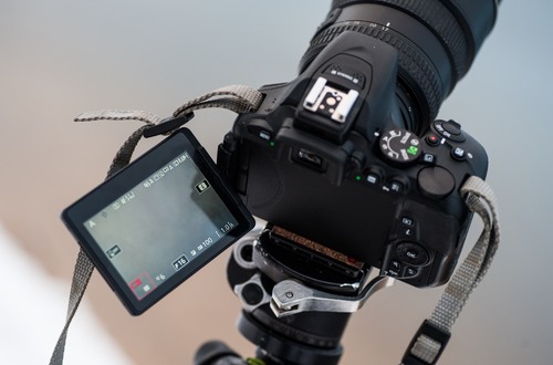 Зеркальная камера Nikon D5500: в сухом остатке - хорошая съемка