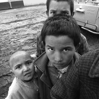 012 Они никогда не прочтут Достоевского.