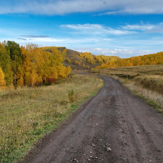 Дорогами осени