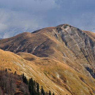 Осень в альпийских лугах