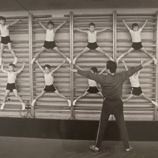 Паучки, Б. Долматовский