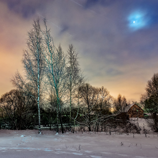 winter evening© Selemir Grig