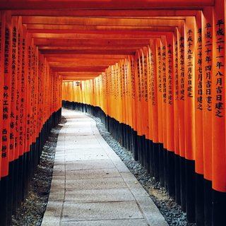 Fushimi Inari Shrine.Андрей Алексеев