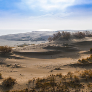 Александр Тутаев_Дюна