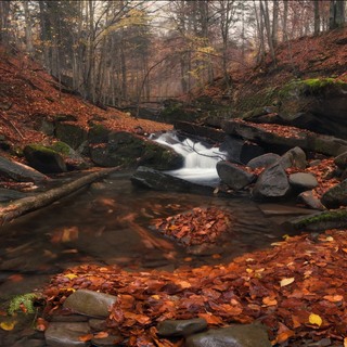 Лумшоры, Закарпатье