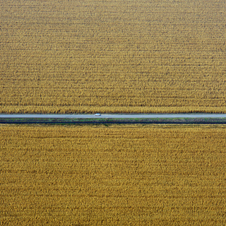 Константин Толоконников, Воронеж. Дорога