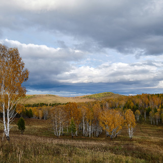 Пейзажи осени