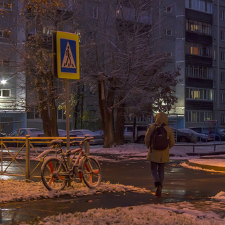 По первому снегу