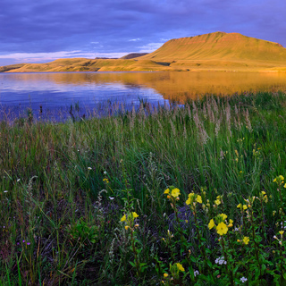 Летняя панорама