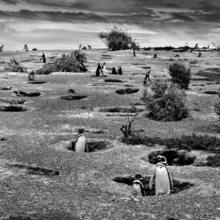 ITALY_Christian_Massari_1st-palce_Italy-National-Award_2016-Sony-World-Photography-Awards