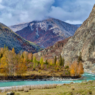 Осеннее разноцветье