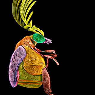 MEXICO_Silvia_Andrade_Mexico_1st_Mexico-National-Awards_2016-Sony-World-Photography-Awards