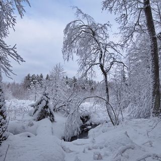 Речка Ивановка. После снегопада.
