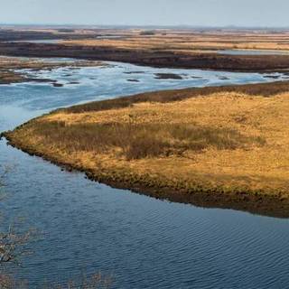 Панорама Приамурья