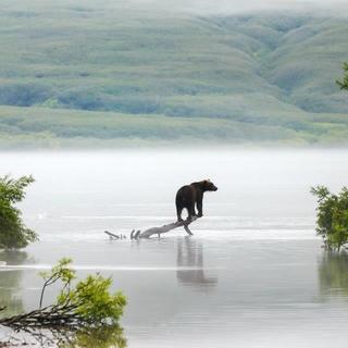 Где потеряешь, а где найдешь?