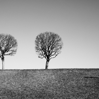 Екатерина Уфимцева, Петергоф.Два