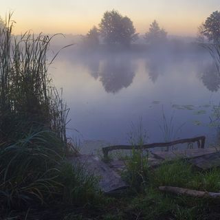 Река в тумане