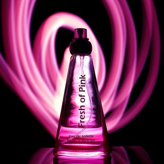 Макс Шишков