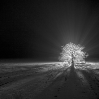 Призрачный воин - фотоконкурс