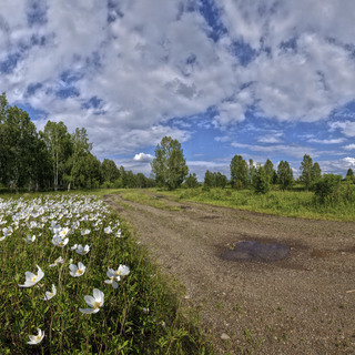 Дорога в лето