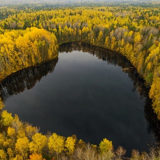Вадим Штрик. Я люблю тебя!