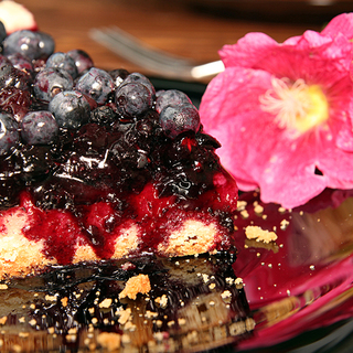 Slice of bilberry cake