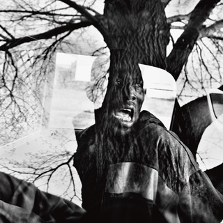 Paolo Pellegrin / Magnum Photos (Паоло Пеллегрин / агентство «Магнум»).