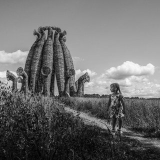 Илья Питалев (Москва). ЛЕТО.