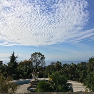 D7FC29C4-1DAA-414C-BC20-297AB8807EC6