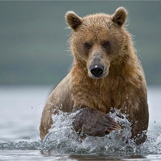 Сейчас наловим