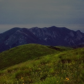 Сочный луг батарейной_(IMG_9260)