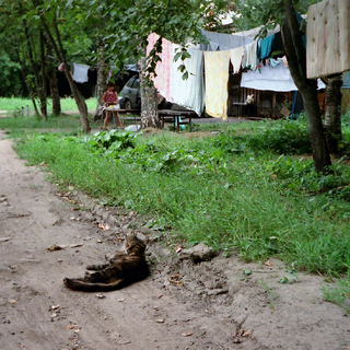 Кот,дорога,машина,девочка,  или взгляд 4.