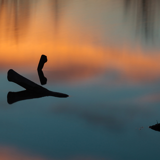 f96e4bd7-3886-4a42-99ef-843390d0e919