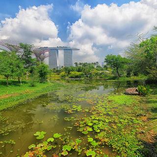 Сингапурский парк