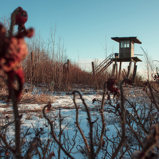 Tower on the border