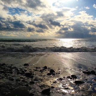 B28466E1-083B-4083-AC90-F093726873CC