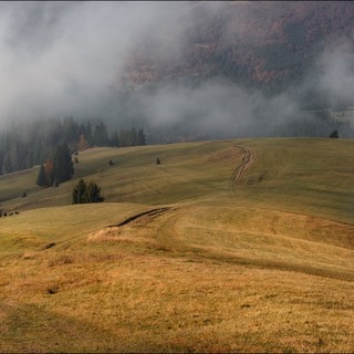 Осенним утром. Закарпатье, 2013 