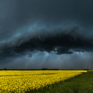 Janis_Palulis_Winner_Latvia_National-Awards_2016_Sony_World_Photography_Awards