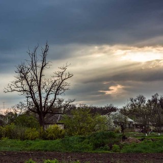 rural landscape in spring