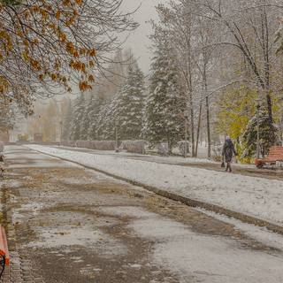 evgenij_golubev_img_497901_po_pervomu_snegu