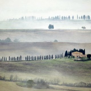 Гран-При. 1 место. Елизавета Бузова