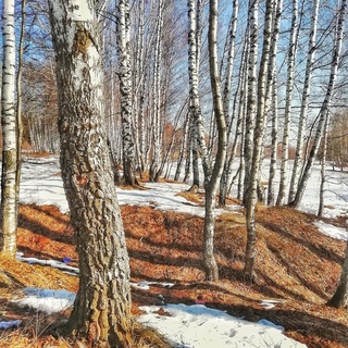 IMG_20190408_084128-01